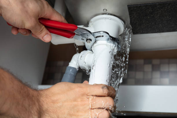 Best Flood damage cleanup  in Stevensville, MT