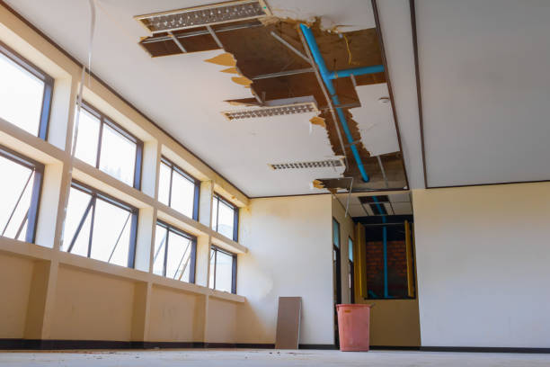 Best Fire Damage Restoration  in Stevensville, MT