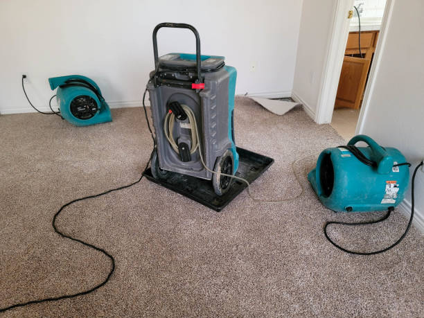 Best Local water damage restoration  in Stevensville, MT