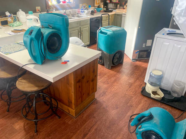Best Water damage restoration near me  in Stevensville, MT
