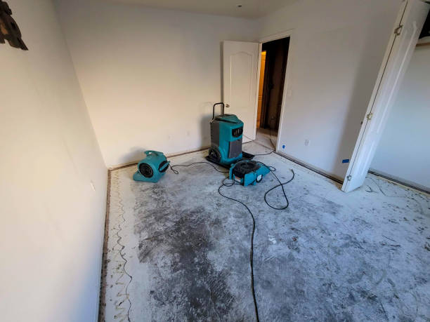 Water damage restoration insurance claims in MT