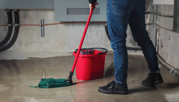 Best Water damage contractors near me  in Stevensville, MT
