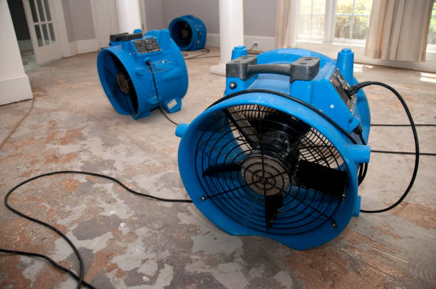 Best Flood restoration services  in Stevensville, MT