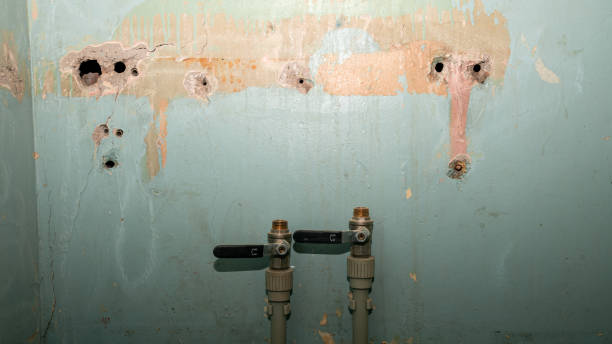 Best Water damage restoration process  in Stevensville, MT