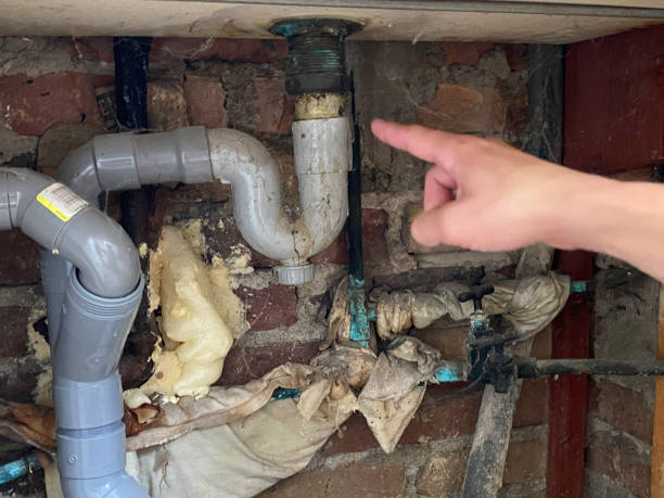 Best Flood damage cleanup  in Stevensville, MT